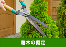 庭木の剪定