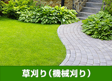 草刈り（機械刈り）