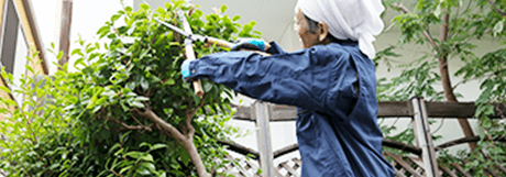 プロの技術で丁寧にお手入れ