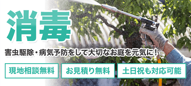 消毒 害虫駆除・病気予防をして大切なお庭を元気に!