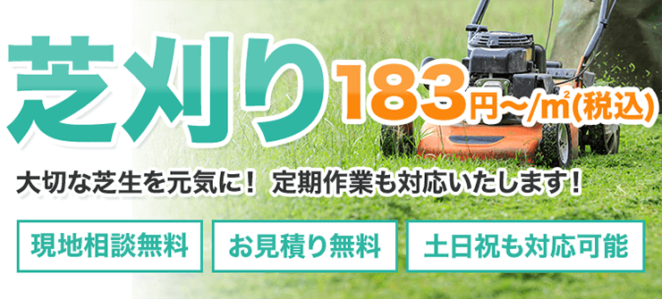 芝刈り 大切な芝生を元気に! 定期作業も対応いたします!
