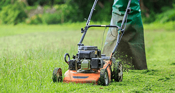 芝生の手入れをしたい