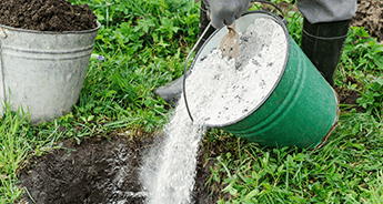 植物を元気にしたい