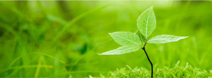 草むしりイメージ1