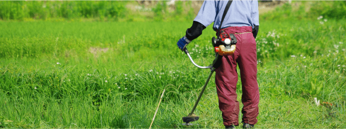 草むしりイメージ2