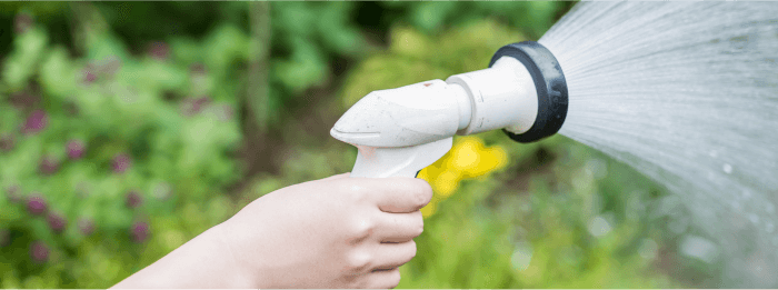 草むしりイメージ4