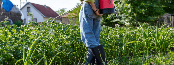 草むしりイメージ5