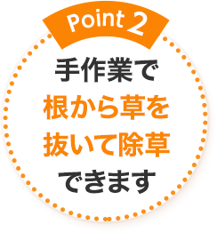 Point2 手作業で根から草を抜いて除草できます