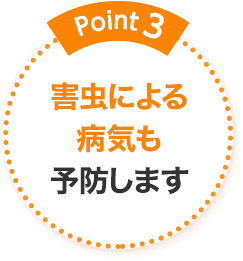 Point3 害虫による病気も予防します