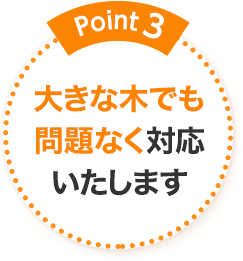Point3 大きな木でも問題なく対応いたします