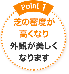 Point1 芝の密度が高くなり外観が美しくなります