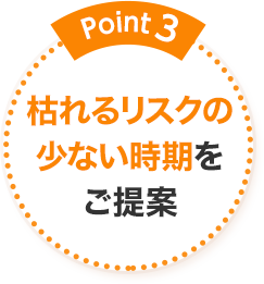 Point3 枯れるリスクの少ない時期をご提案
