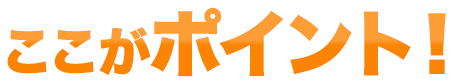 ここがポイント!