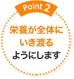 Point2 栄養が全体にいき渡るようにします