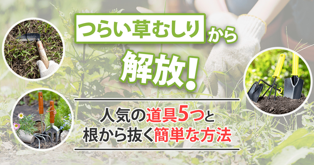 草むしりが楽になる便利な道具とコツを紹介！根から除去してお庭スッキリ