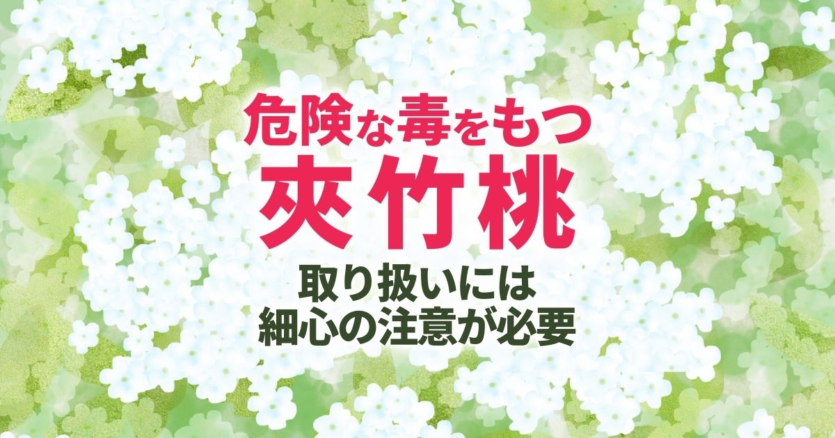 危険な毒をもつ夾竹桃取り扱いには細心の注意が必要