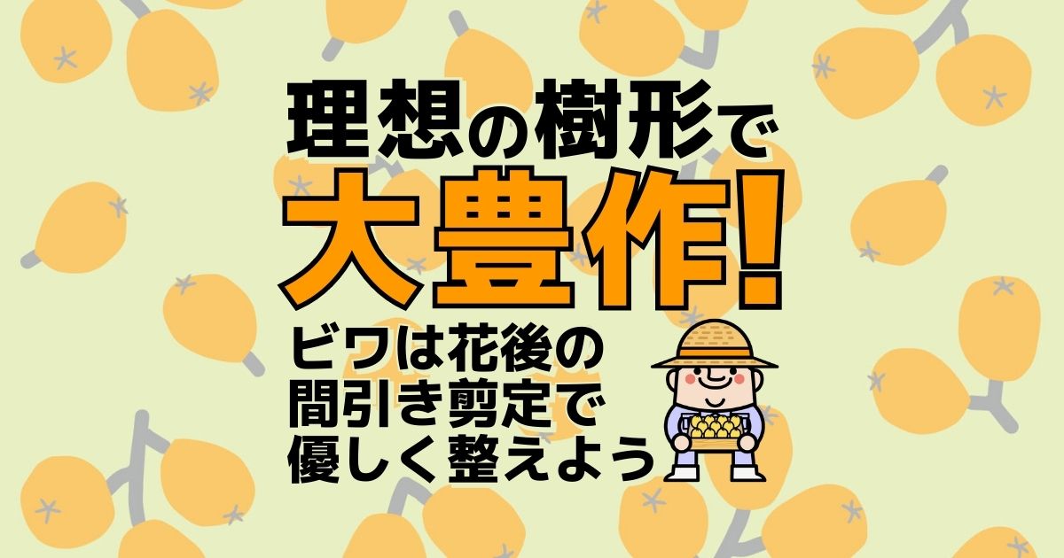 理想の樹形で大豊作！ビワは花後の間引き剪定で優しく整えよう
