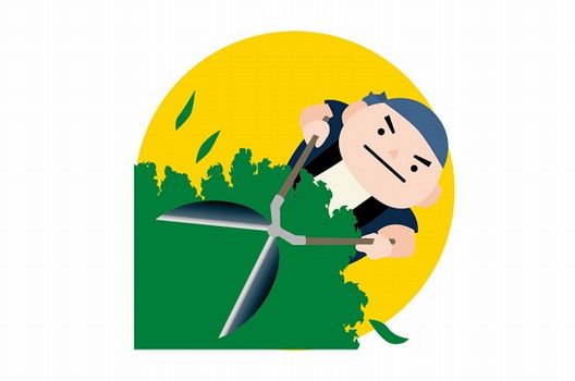 お庭のお悩みに幅広く対応!植木屋さんの取り扱い業務